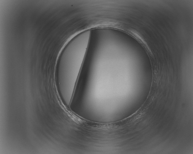 X0000052920948200507080757