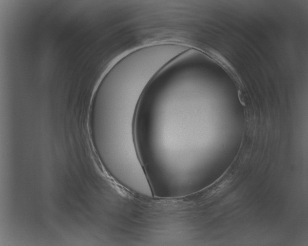 X0000052920956200507080757