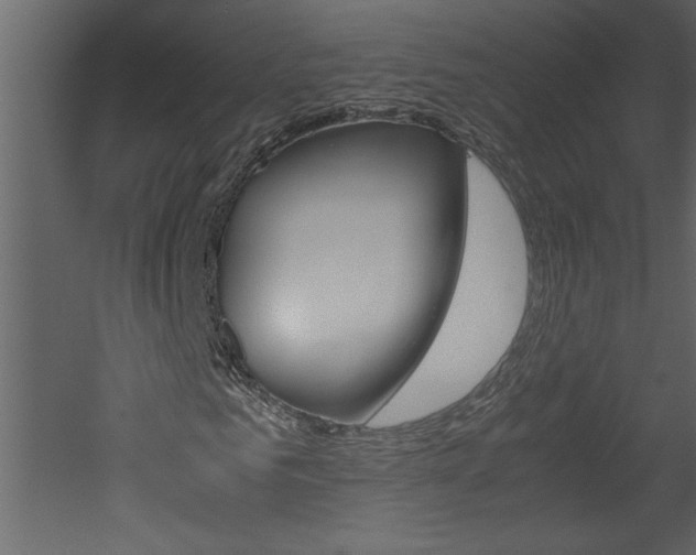 X0000052920961200507080756