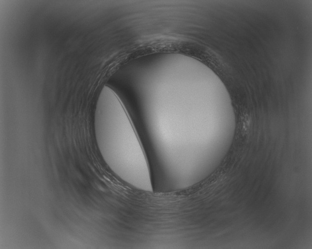 X0000052920964200507080756