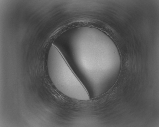 X0000052920968200507080756