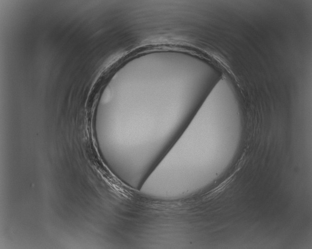 X0000052920974200507080756
