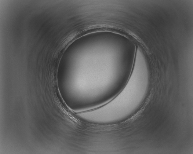X0000052920977200507080756