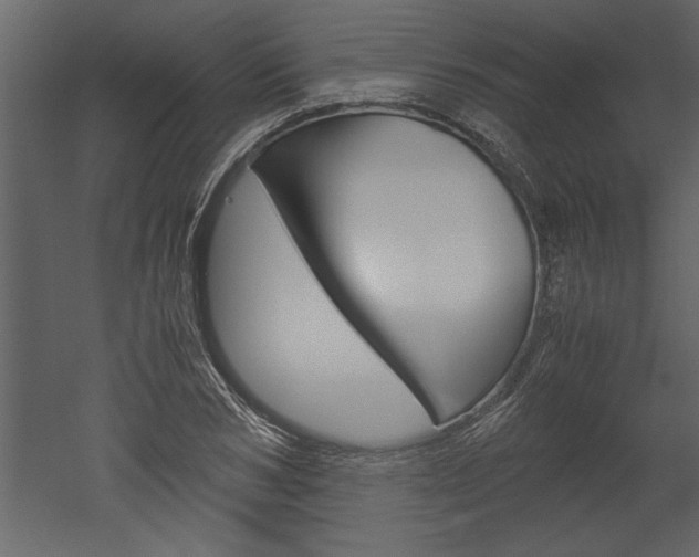 X0000052920978200507080756