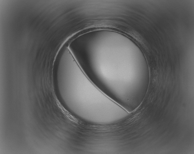 X0000052920980200507080756