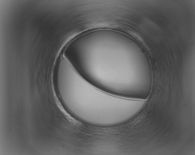 X0000052920991200507080756