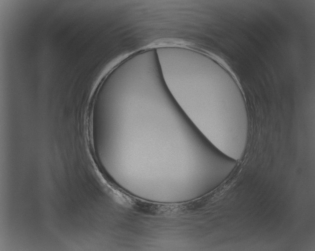 X0000052921003200507080756