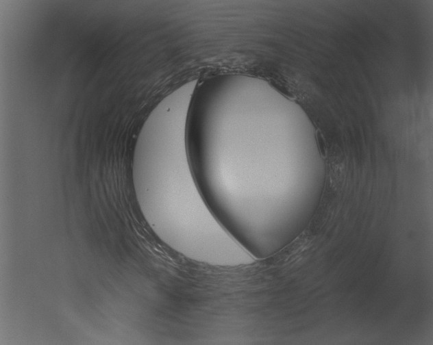 X0000052921010200507080755