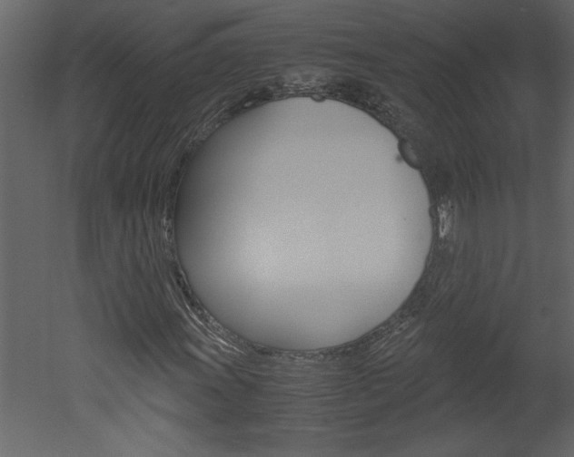 X0000052921011200507080755
