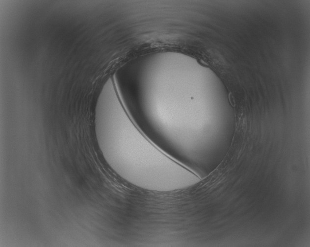 X0000052921012200507080755