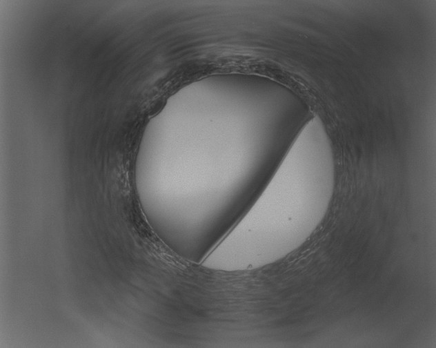 X0000052921013200507080755
