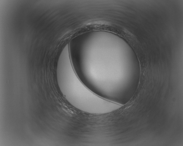 X0000052921014200507080755