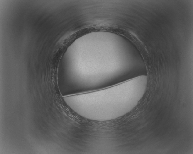 X0000052921016200507080755