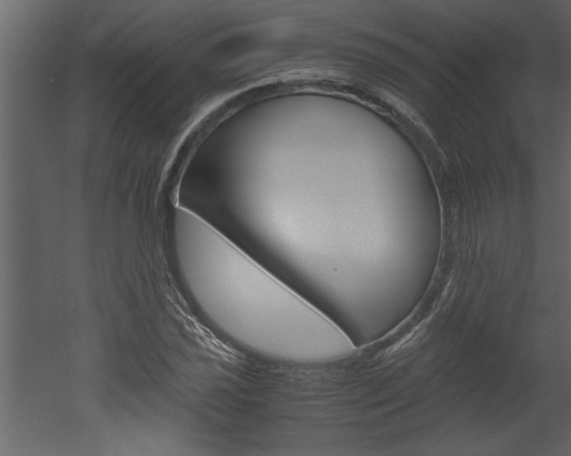 X0000052921021200507080755