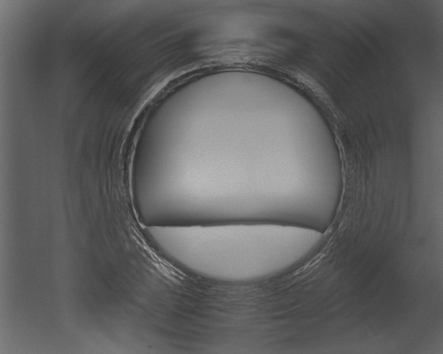 X0000052921023200507080755