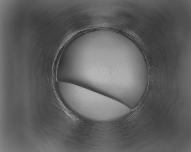 X0000052921031200507080755