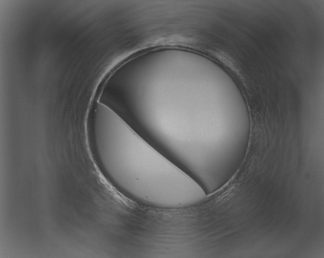 X0000052921032200507080755