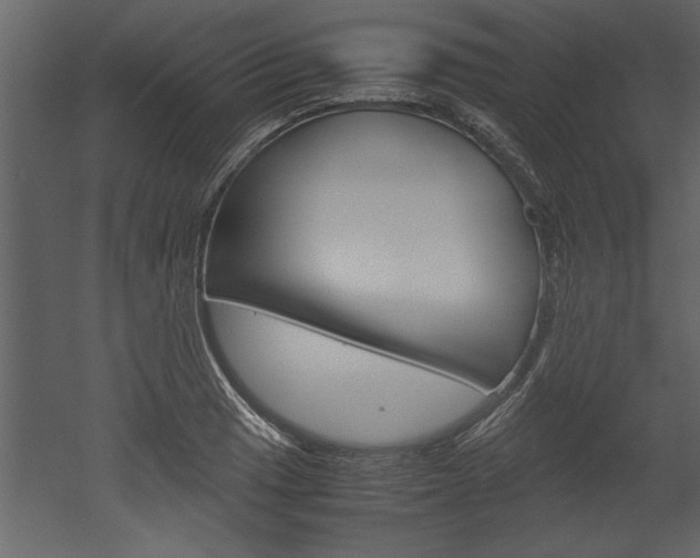 X0000052921033200507080755
