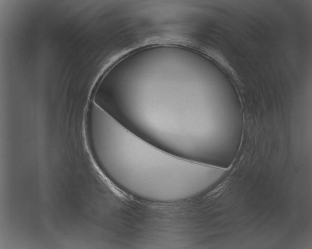 X0000052921040200507080755
