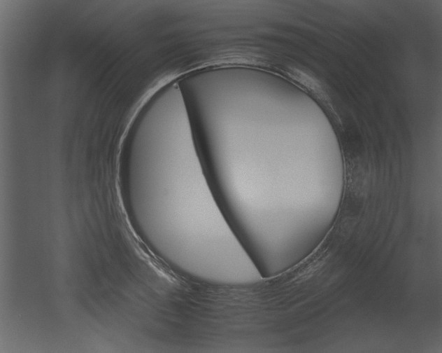 X0000052921043200507080755