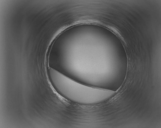 X0000052921046200507080755