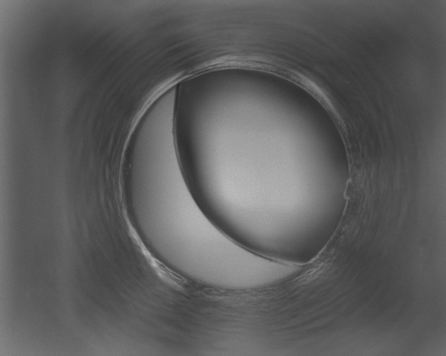 X0000052921050200507080755