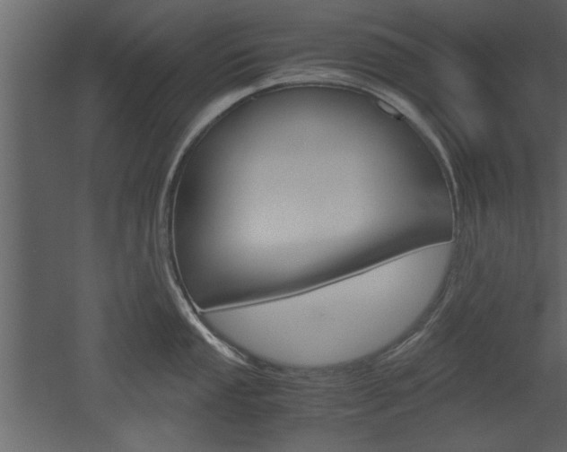 X0000052921053200507080755