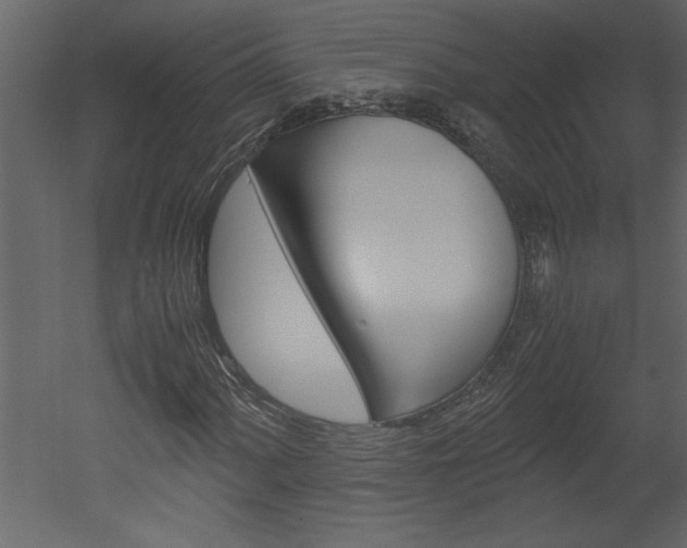 X0000052921060200507080755