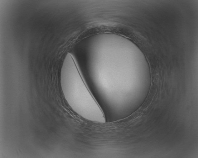 X0000052921061200507080755