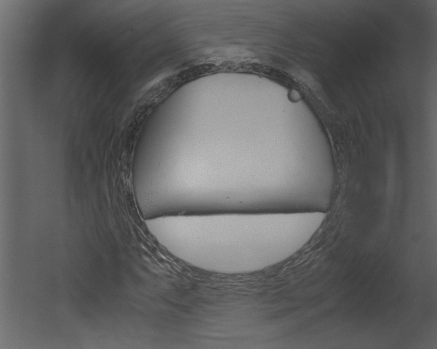 X0000052921063200507080755