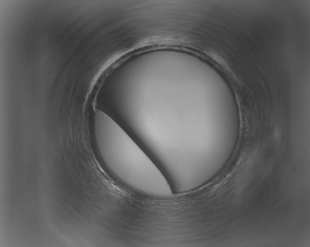 X0000052921070200507080754