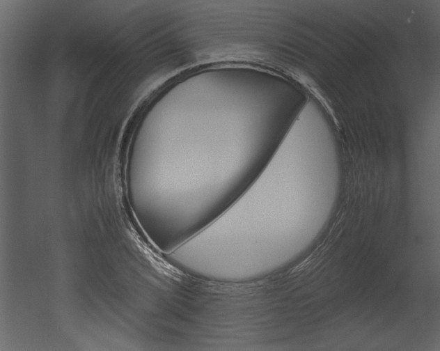 X0000052921072200507080754