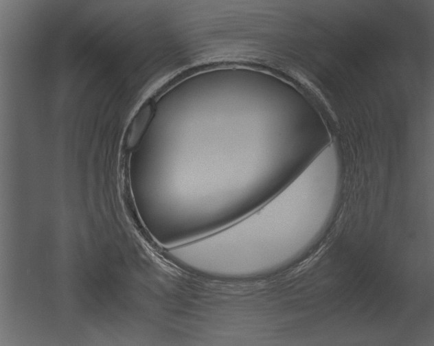 X0000052921077200507080754