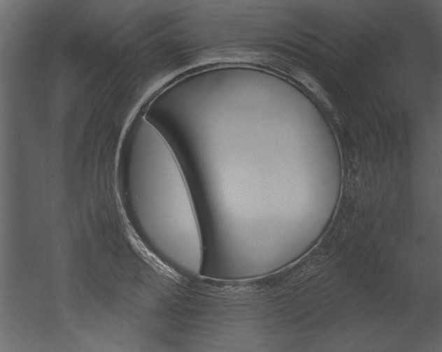 X0000052921080200507080754