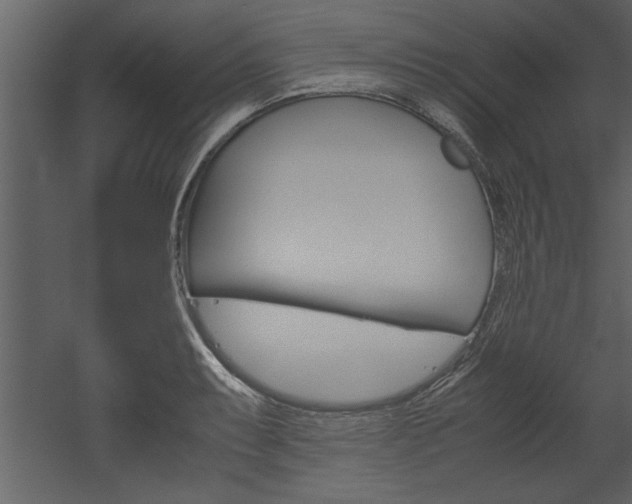 X0000052921087200507080754