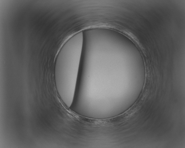 X0000052921097200507080754