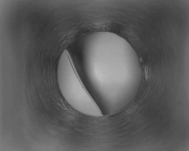 X0000052921107200507080753