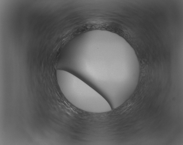 X0000052921109200507080753