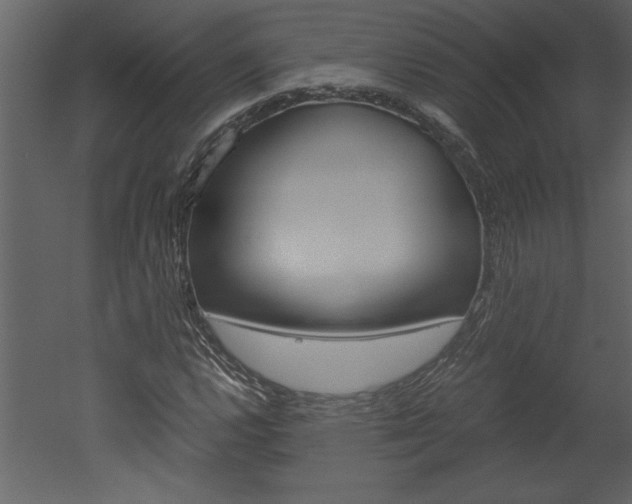 X0000052921112200507080753