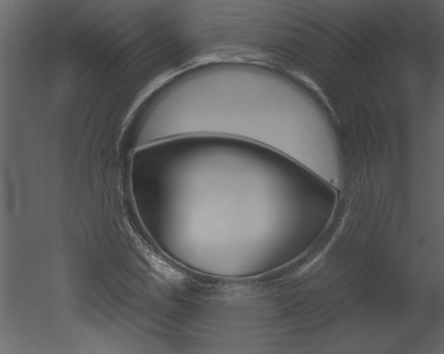 X0000052921114200507080753
