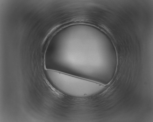X0000052921115200507080753