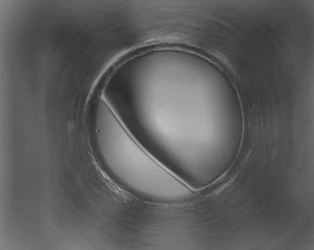 X0000052921118200507080753