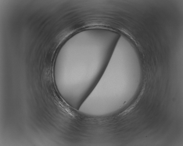 X0000052921121200507080753