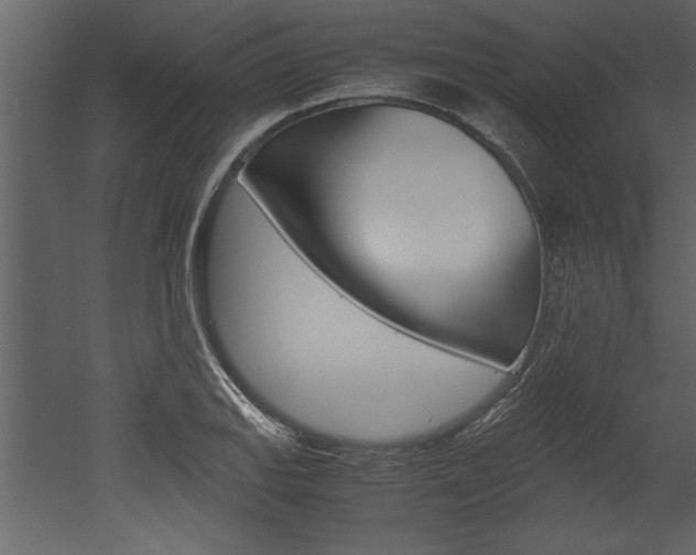 X0000052921127200507080753