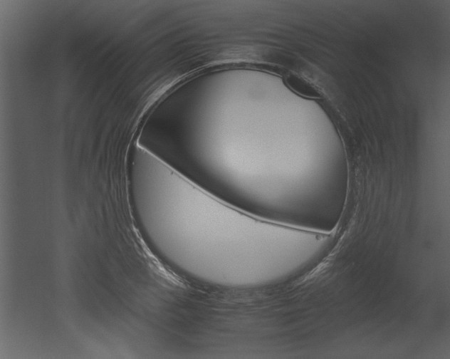 X0000052921129200507080753