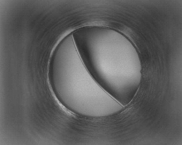 X0000052921139200507080754