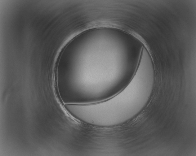 X0000052921144200507080754