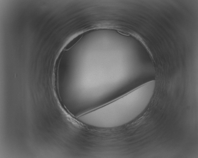 X0000052921147200507080754