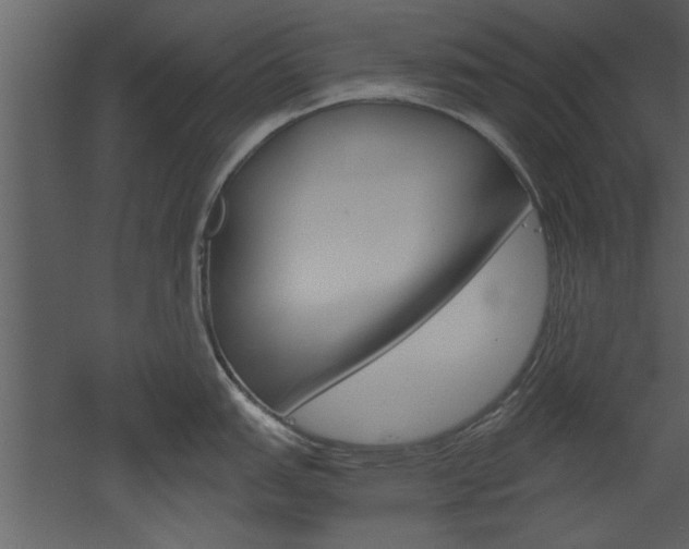 X0000052921151200507080754