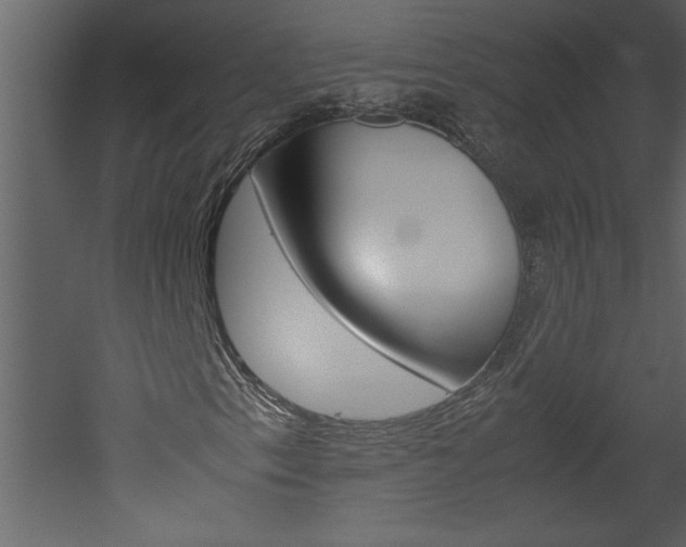 X0000052921153200507080753